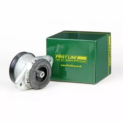 Mounting, engine