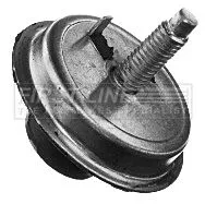 FIRST LINE FIRST LINE (FEM4079) Mounting, engine 