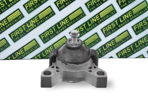 Mounting, engine