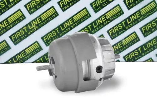 Mounting, engine