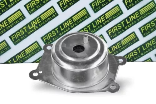 Mounting, engine