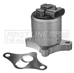 EGR Valve