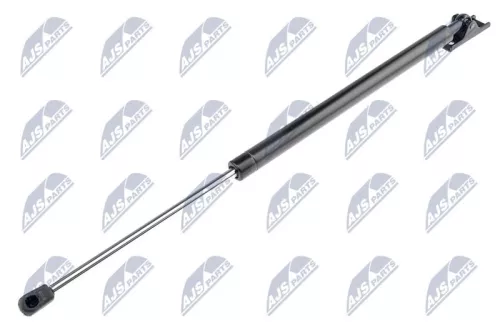NTY NTY (AE-CH-022) Gas Spring, boot/cargo area 
