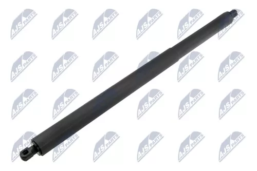 NTY NTY (AE-FR-079) Gas Spring, boot/cargo area 