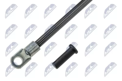 NTY NTY (AE-FT-043) Gas Spring, boot/cargo area 