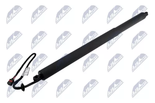 NTY NTY (AE-JG-000) Gas Spring, boot/cargo area 