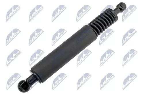 NTY NTY (AE-VW-101) Gas Spring, boot/cargo area 