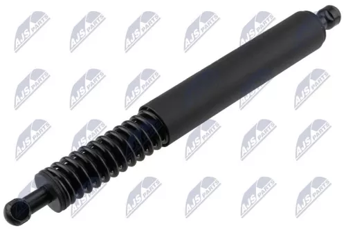 NTY NTY (AE-VW-111) Gas Spring, boot/cargo area 