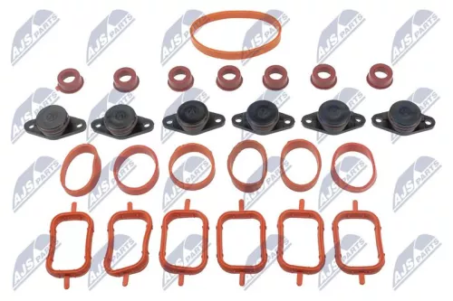 Intake Manifold Module