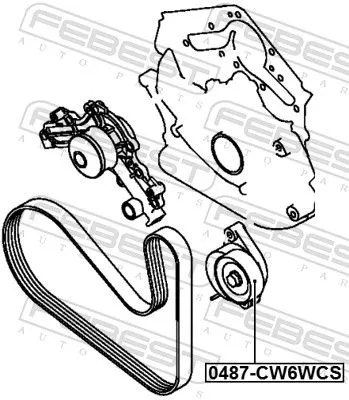 FEBEST FEBEST 0487-CW6WCS Tensioner Pulley, V-ribbed belt 