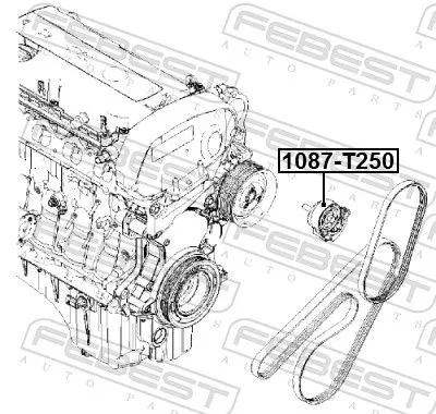 FEBEST FEBEST 1087-T250 Tensioner Pulley, V-ribbed belt 