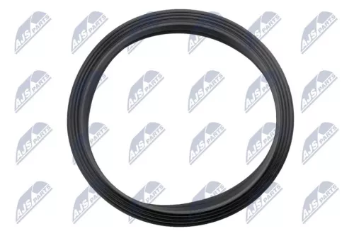 NTY NTY (BPP-VW-005) Gasket, fuel pump 