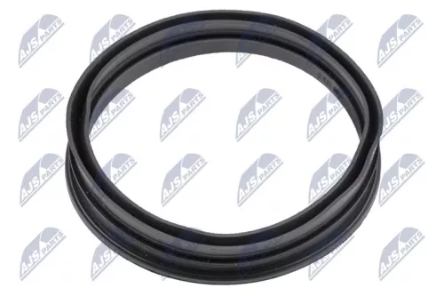 NTY NTY BPP-VW-006 Seal, fuel sender unit 