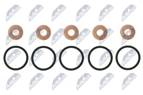 NTY NTY BWP-LR-000 Seal Kit, injector nozzle 