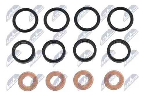 NTY NTY BWP-PL-003 Seal Kit, injector nozzle 