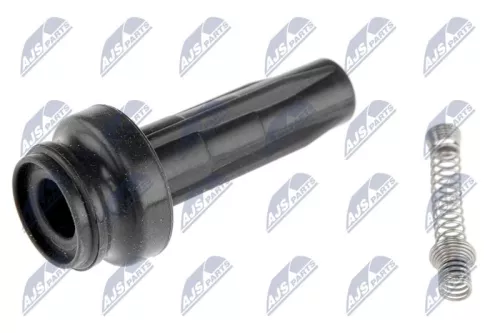 Plug, coil