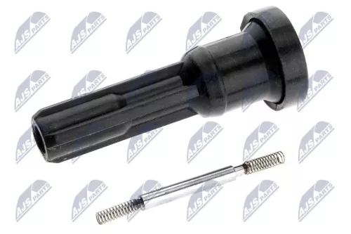 Plug, coil