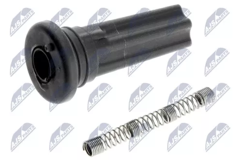 Plug, coil