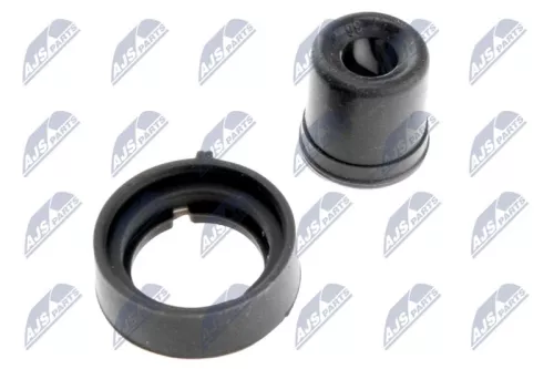Plug, coil