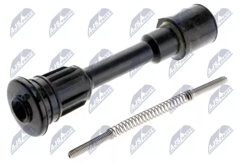 Plug, coil