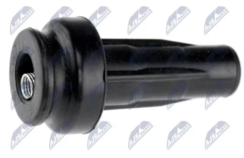 Plug, coil