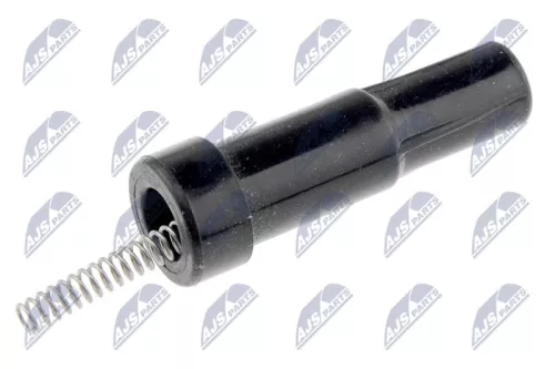 Plug, coil