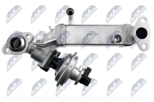 NTY NTY (EGR-BM-011A) EGR Valve 