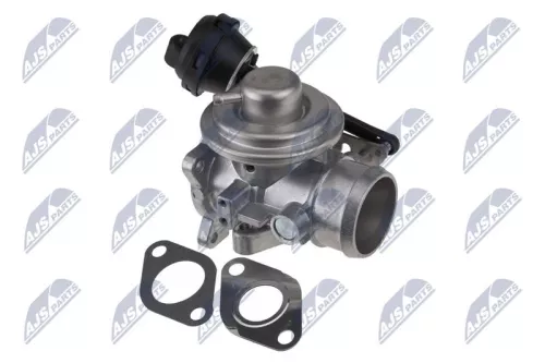 NTY NTY (EGR-VW-031) EGR Valve 