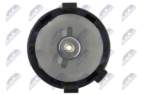 NTY NTY EKS-FT-004 Ignition Switch 