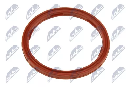 Seal Ring, engine oil level sensor