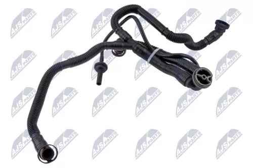 Hose, crankcase ventilation
