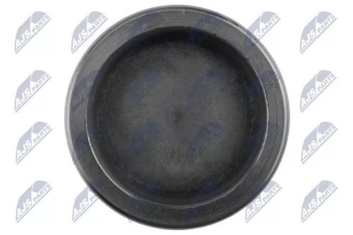 NTY NTY (HTZ-TY-024) Piston, brake caliper 