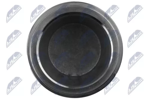 NTY NTY (HTZ-TY-024) Piston, brake caliper 