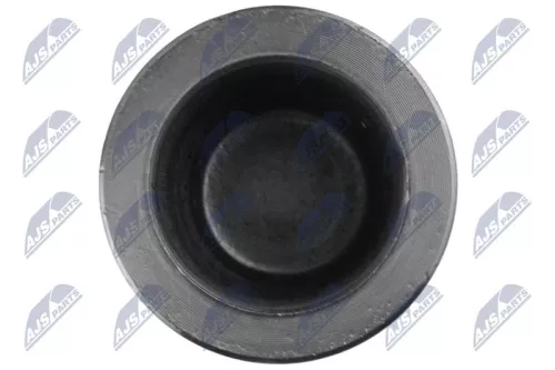 NTY NTY (HTZ-TY-026) Piston, brake caliper 