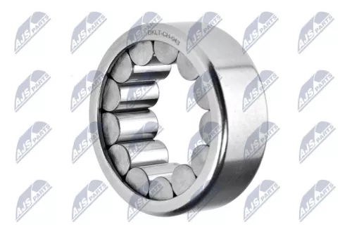 Shaft Seal, differential