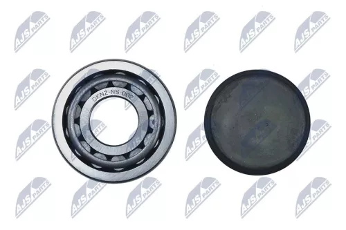 NTY NTY (KNZ-NS-002) Repair Kit, steering knuckle 