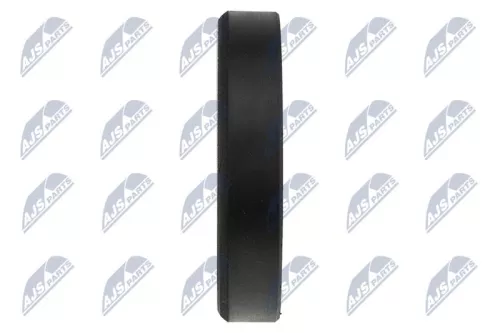 NTY NTY RKP-CT-008 Deflection/Guide Pulley, V-ribbed belt 