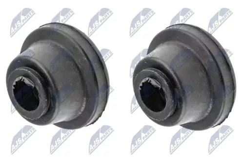 Mounting, control/trailing arm