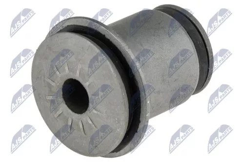 NTY NTY (ZTP-CH-026C) Mounting, control/trailing arm 