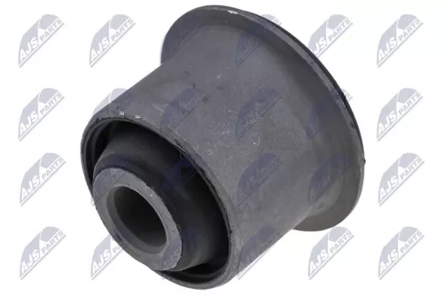 NTY NTY (ZTP-IS-006C) Mounting, control/trailing arm 