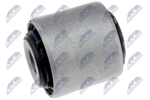 NTY NTY (ZTT-SB-006C) Mounting, control/trailing arm 