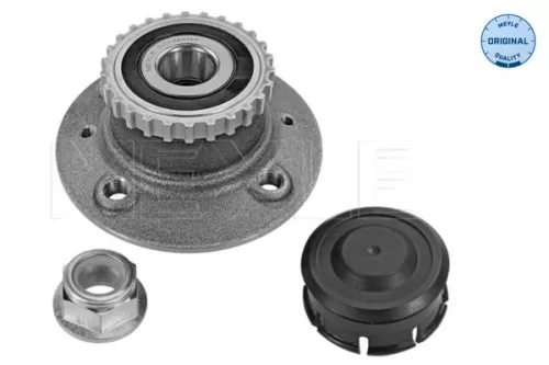 MEYLE MEYLE 16-14 752 0007 Meyle Rear Wheel Hub for Renault Kangoo 