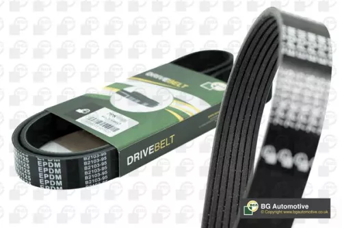 V-Ribbed Belt