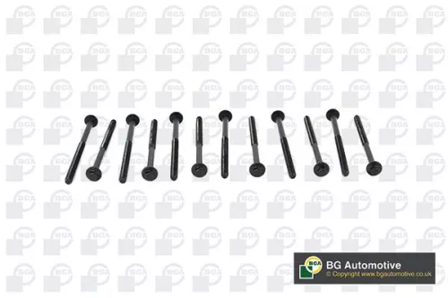 BGA BGA BK2304 Bga Cylinder Head Bolt Set For Volvo C30 C70 S40 S60 S80 V40 V50 V60 V70 Xc60 Xc 