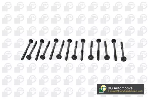 BGA BGA BK2305 Bga Cylinder Head Bolt Set For Bmw 3 4 5 6 7 8 X3 X4 X5 X6 X7 