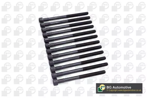 BGA BGA BK2373 Bga Cylinder Head Bolt Set For Ssangyong Kyron Rexton / Rexton Ii Rodius 