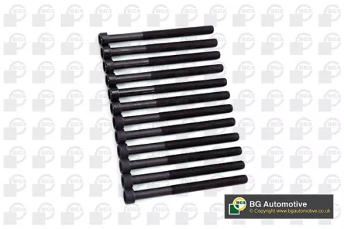 Bga Cylinder Head Bolt Set For Dacia Nissan Renault Clio Kangoo Kubistar Logan L
