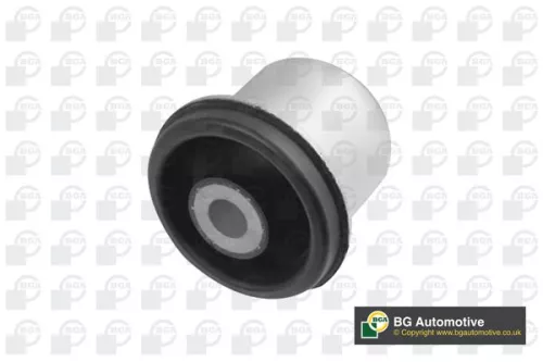 Mounting, control/trailing arm