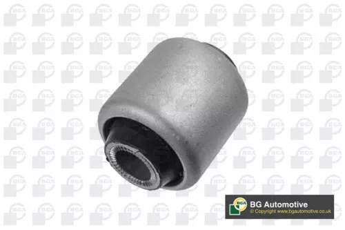 Mounting, control/trailing arm
