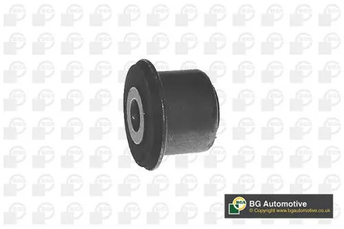 Mounting, control/trailing arm